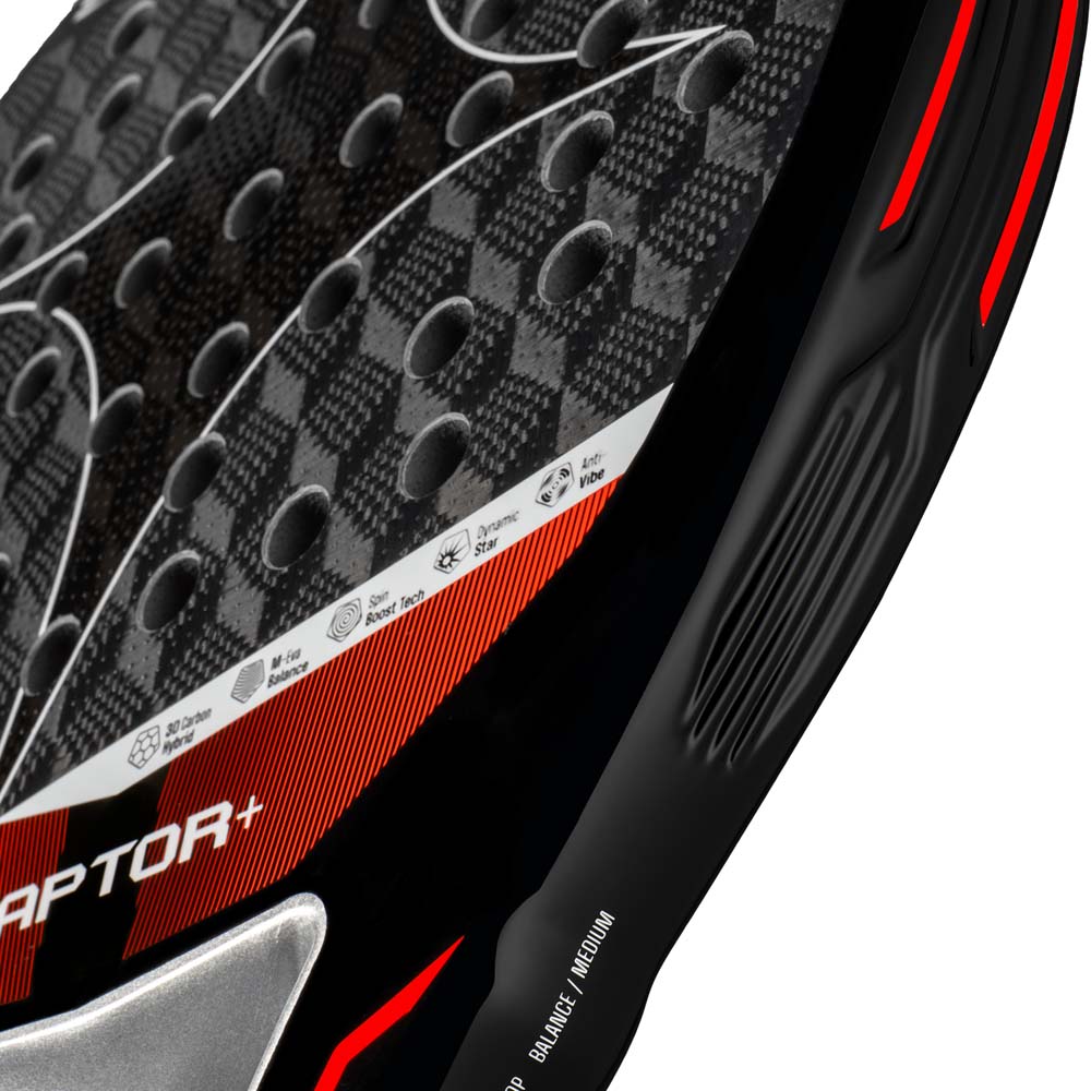 Starvie Raptor + 2026