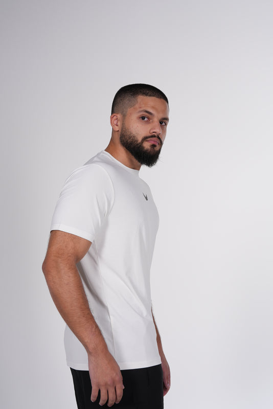 Wings Apex Tee 2027