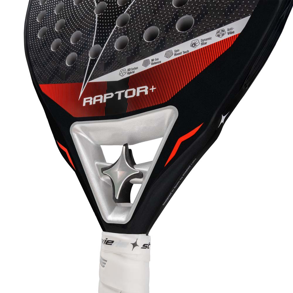 Starvie Raptor + 2026